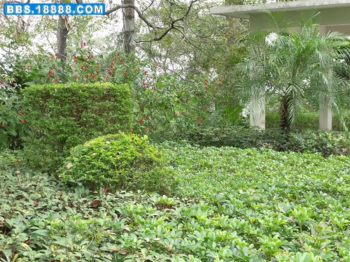 DSCF2932.JPG