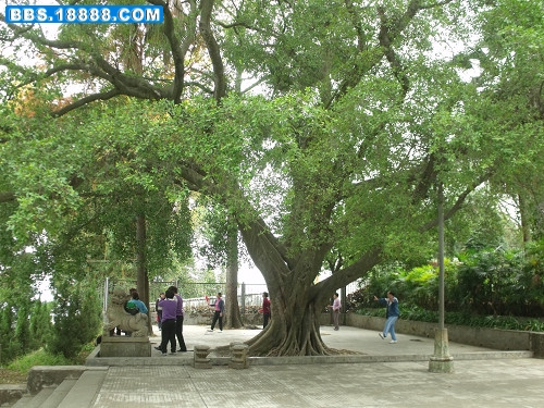 DSCF2880.JPG