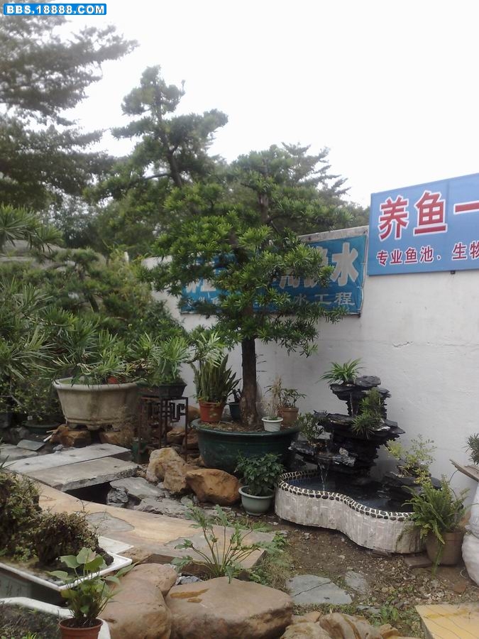 200912301667.jpg