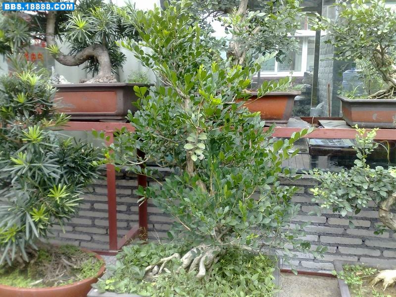 200912301727.jpg