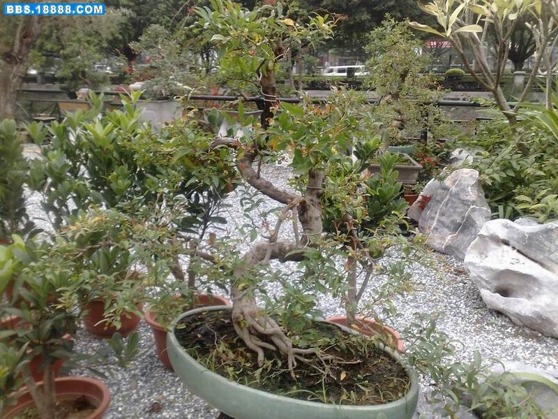 200912301704.jpg