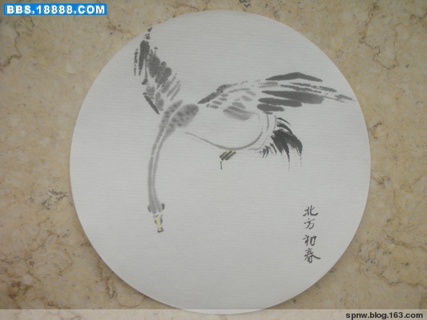 天鹅.jpg