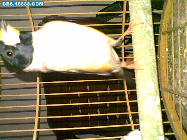 20091201(029).jpg