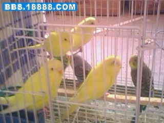 IMG0124A.jpg