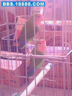 IMG0125A.jpg