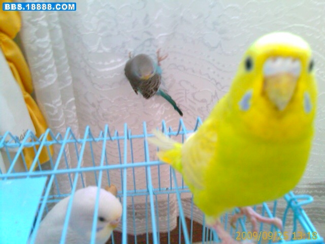 IMAG0115.jpg