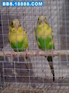 12-12-09_1206.jpg
