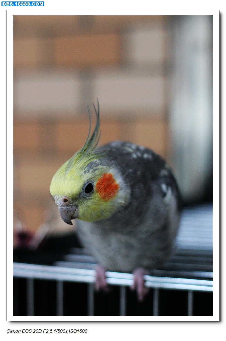 nEO_IMG_2009 705.jpg