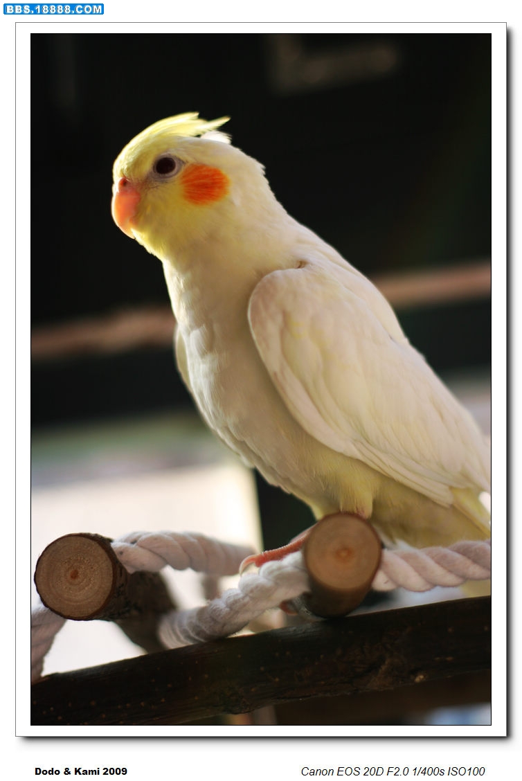 nEO_IMG_2009 130.jpg