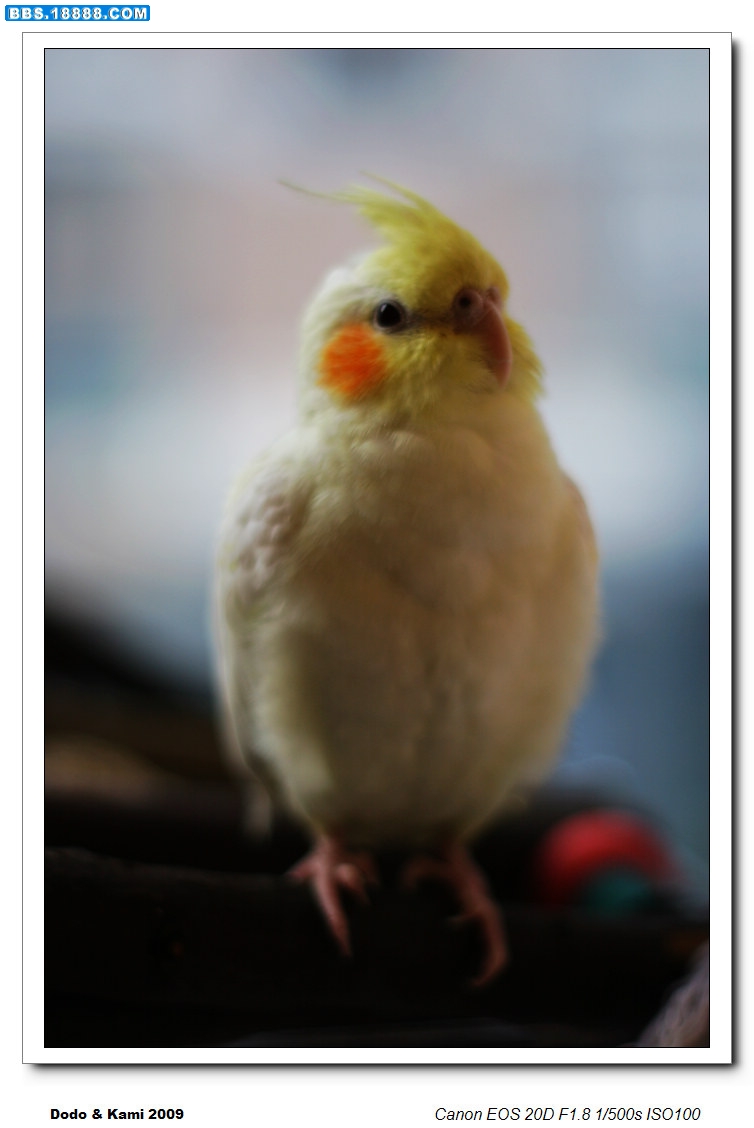nEO_IMG_2009 062.jpg