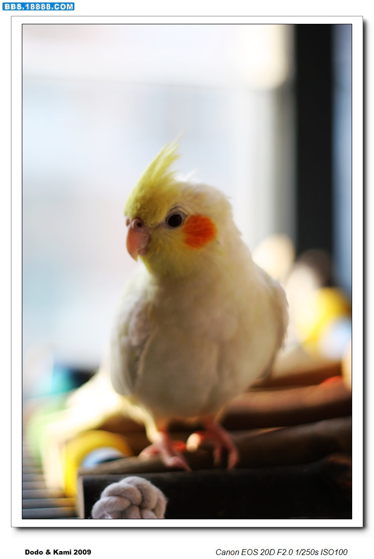 nEO_IMG_2009 023.jpg