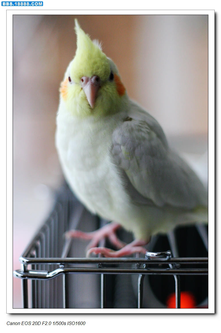 nEO_IMG_2009 654.jpg