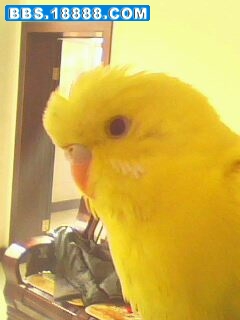 IMG0048A.jpg