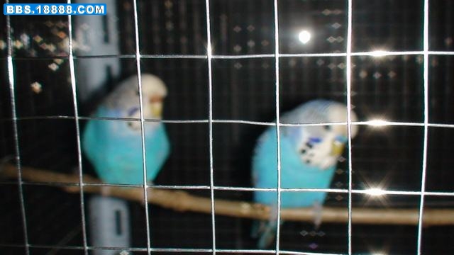 DSC01048.JPG