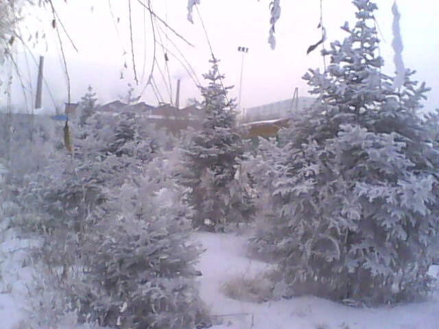 IMG0010A.jpg