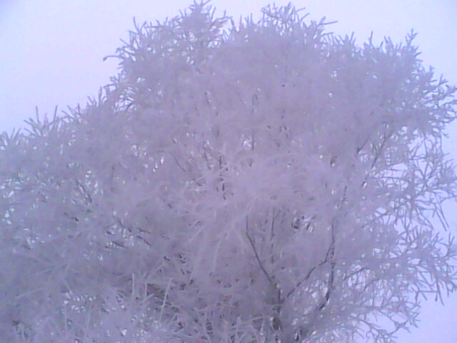 IMG0002A.jpg