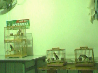 IMG0097A.jpg