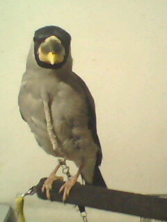 IMG0116A.jpg