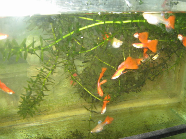 照片 357.jpg