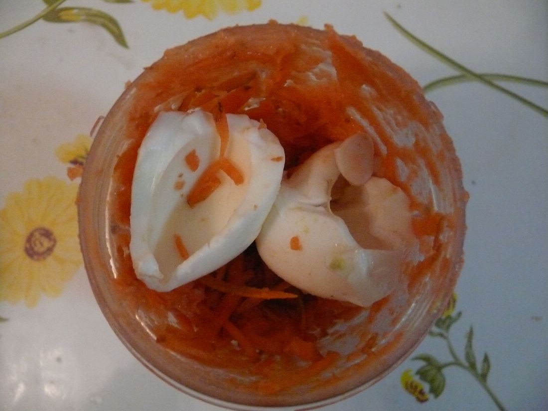 鸟食 (2).jpg