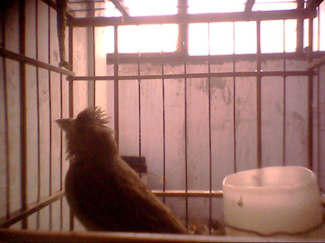 IMG0354A.jpg