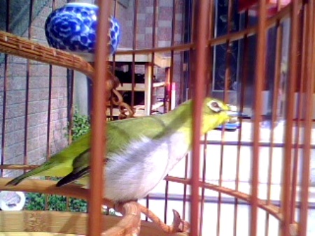 IMG0055A.jpg