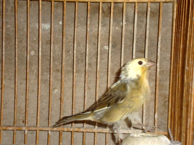 DSC00583.jpg