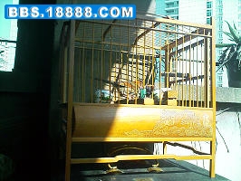 IMAGE_096_nEO_IMG.jpg