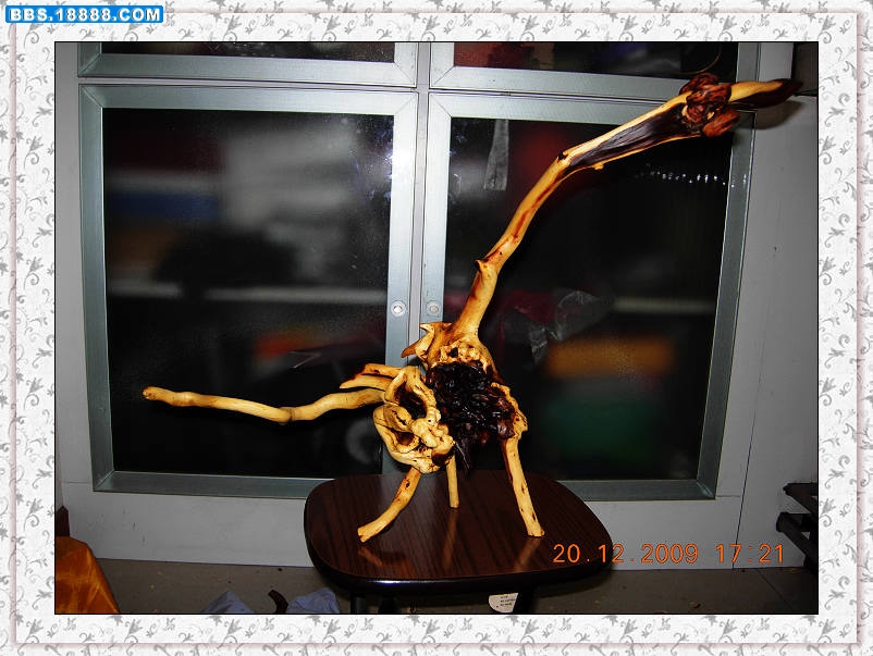DSCN3996.jpg
