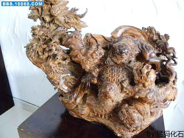 DSCN0885.jpg