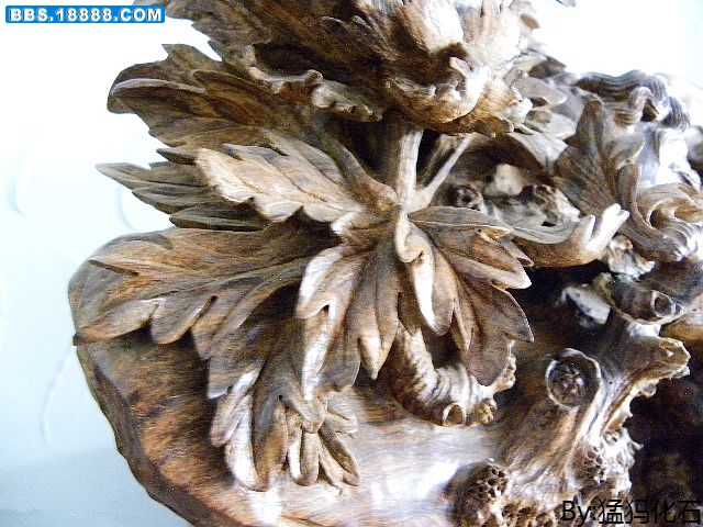 DSCN0880.jpg