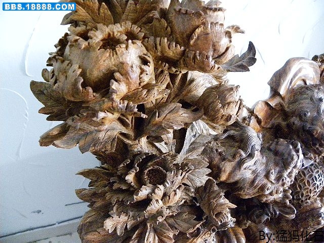 DSCN0878.jpg