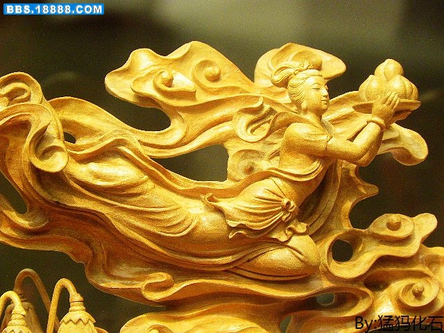 DSCN0339.jpg