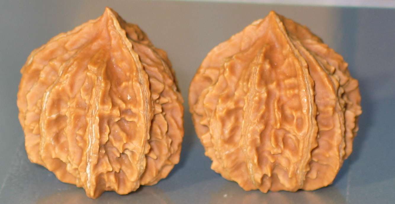三楞灯笼侧面3.jpg
