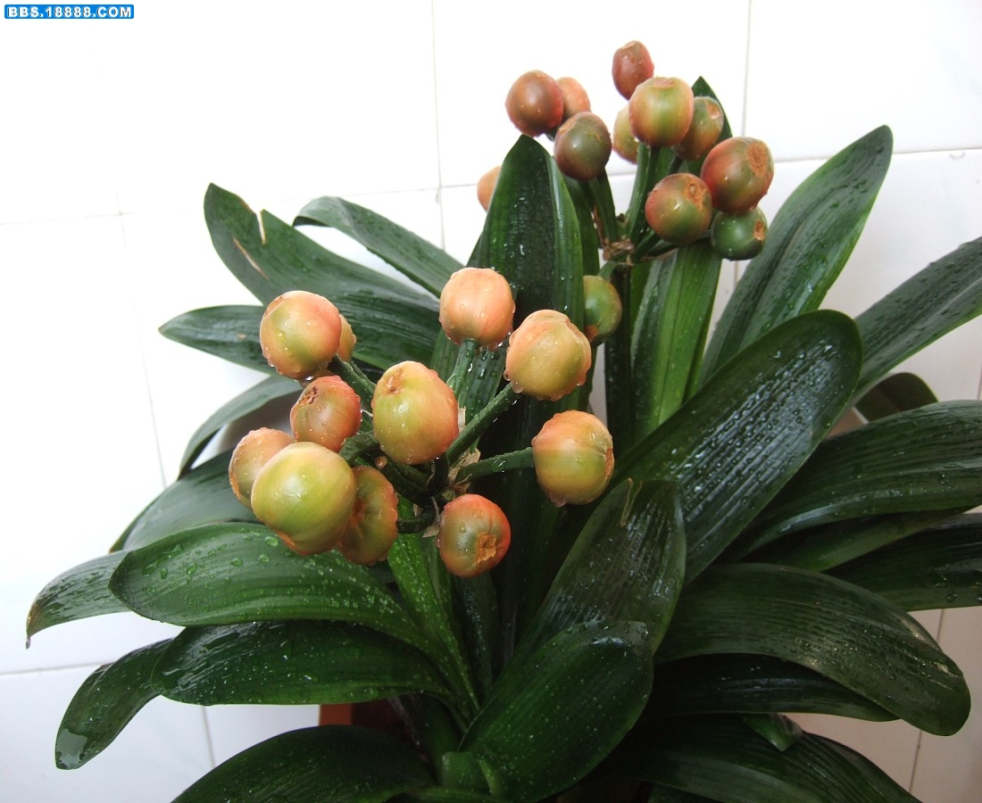 images012.jpg