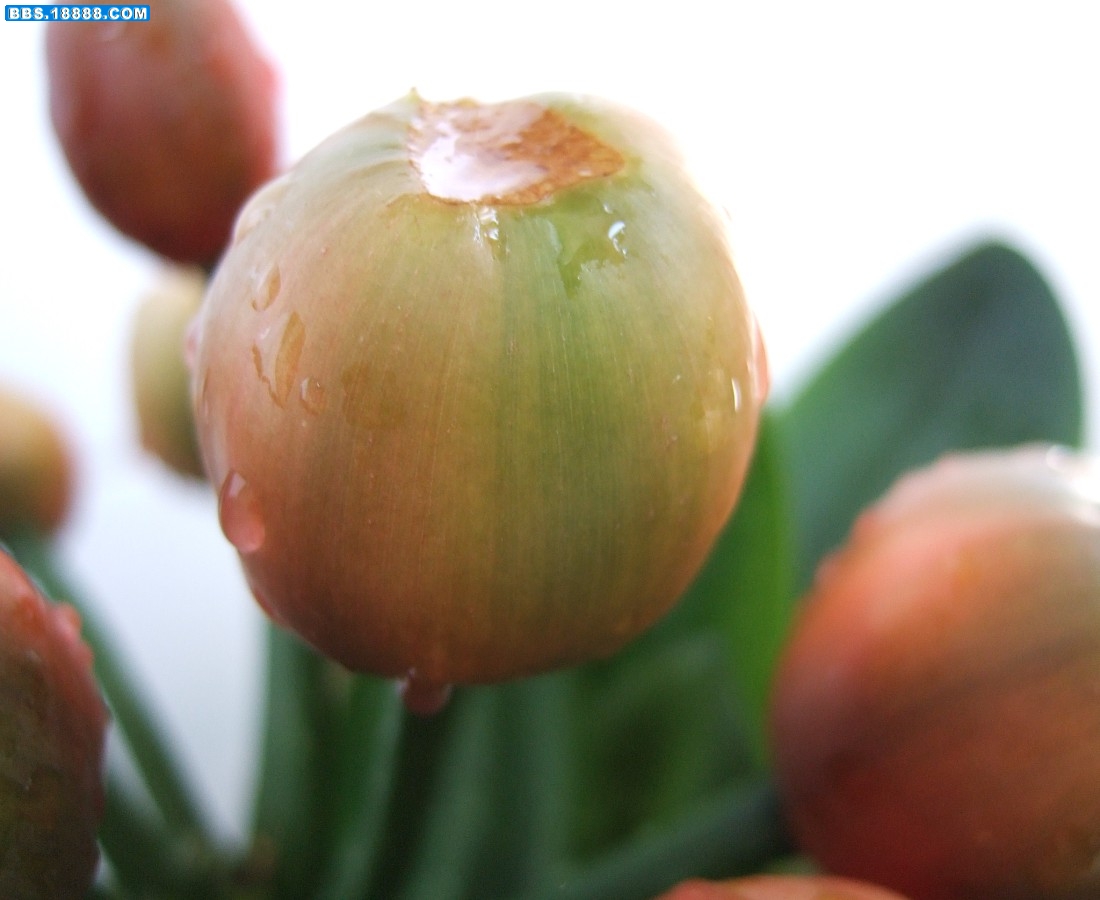 images022.jpg