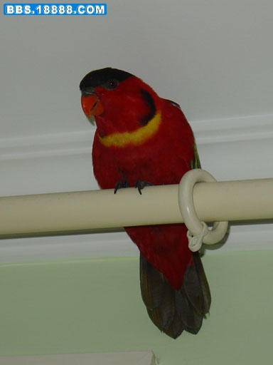 DSC04243.jpg