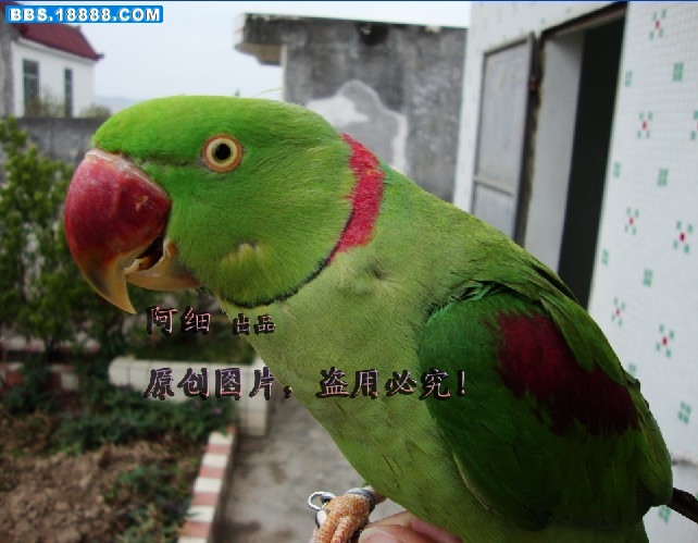 压力3.jpg