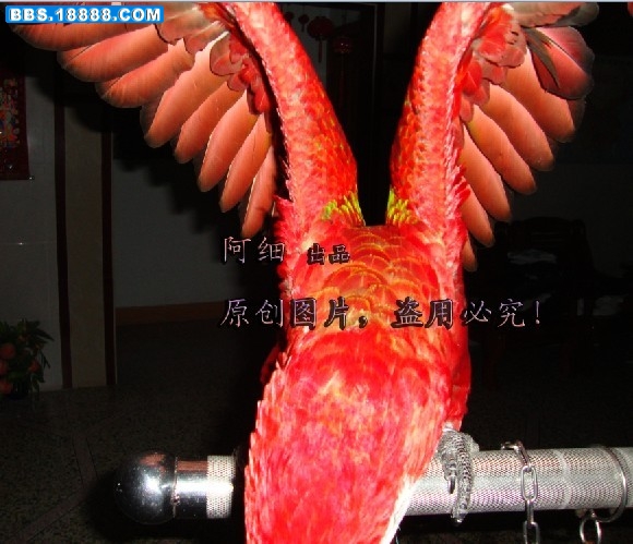 未命名2.jpg