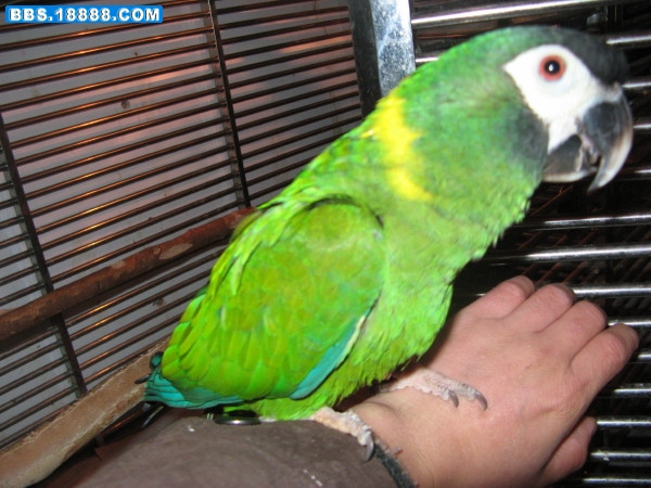 IMG_3671_1.JPG