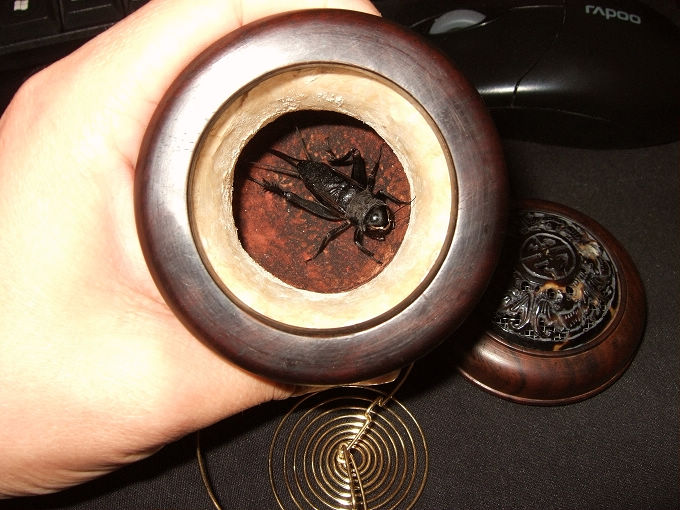 DSCF2490.jpg