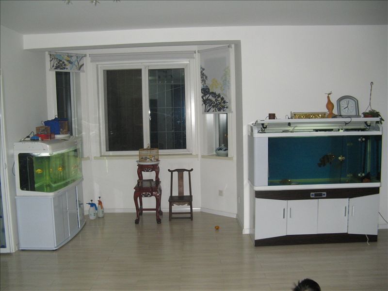 IMG_1627.JPG