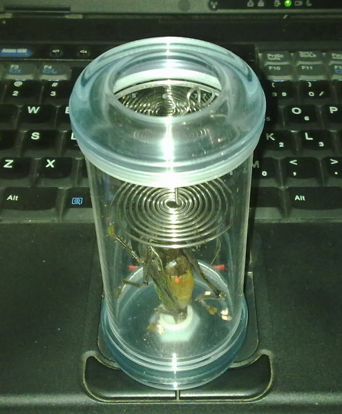 20091206225.jpg
