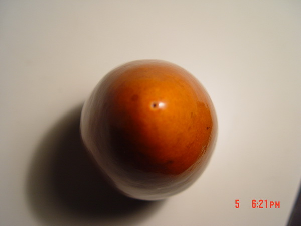 DSC03314.jpg