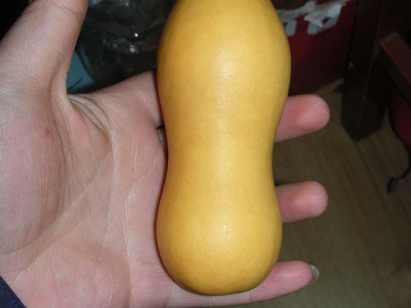 DSCN6873.jpg