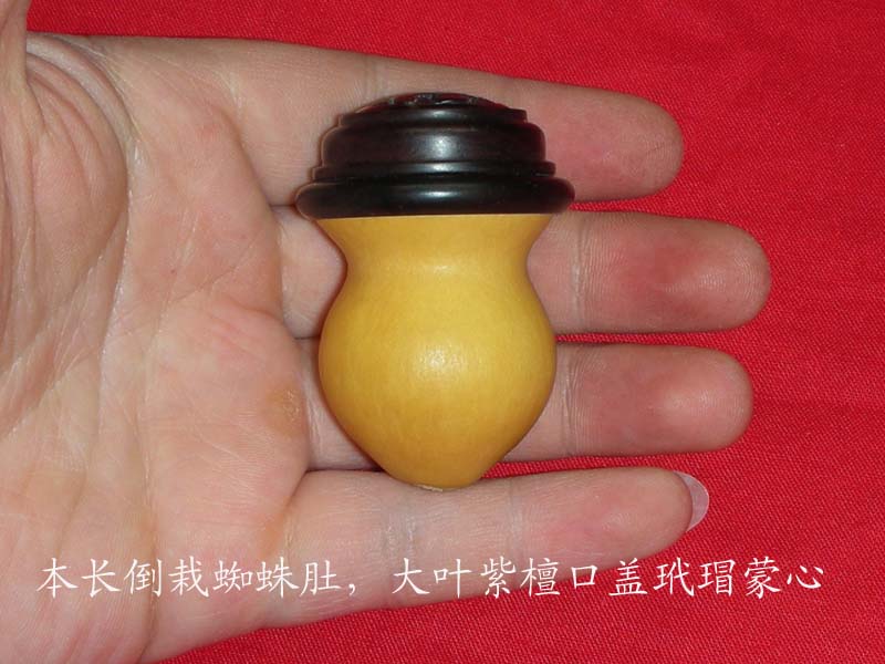 DSCN6882 拷贝.jpg