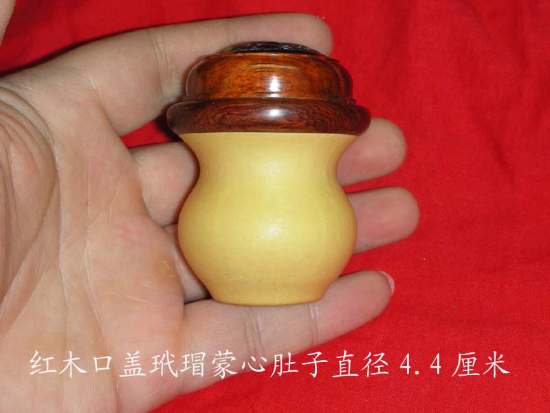 DSCN6971.jpg