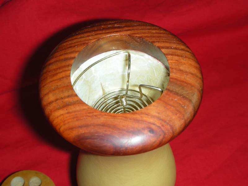 DSCN6939.jpg