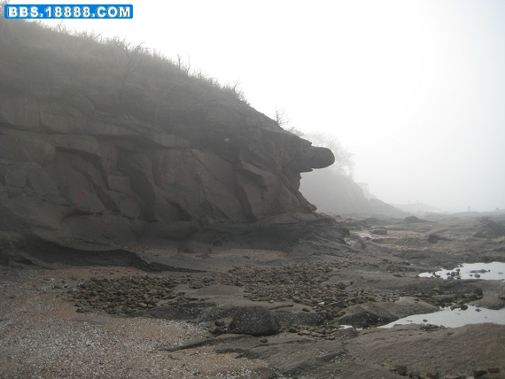 091201赶海 005.jpg