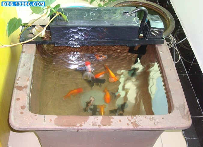 3.JPG